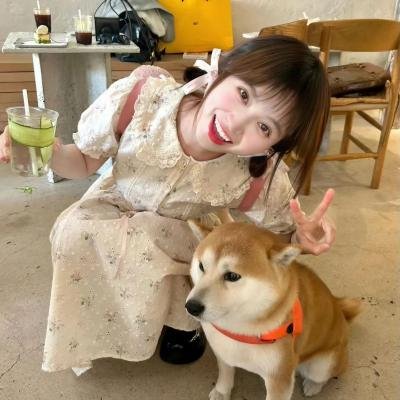 你和我的时光